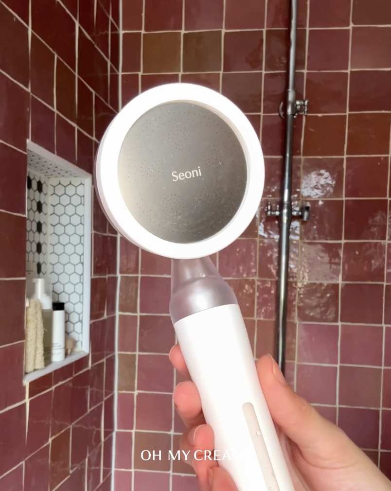 Pommeau de Douche Filtrant