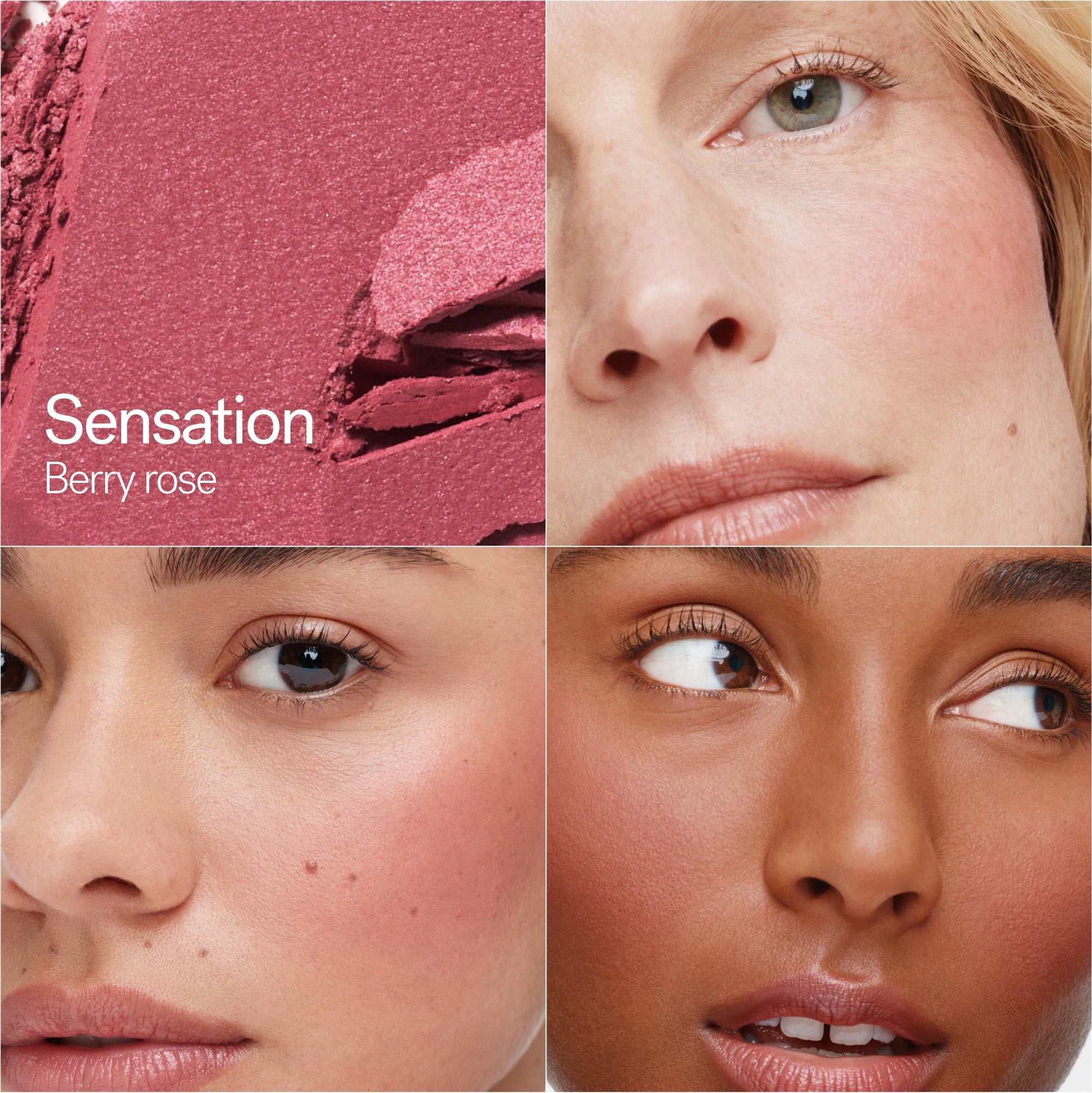 Soft Focus Blurring Blush Poudre